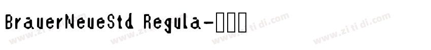 BrauerNeueStd Regula字体转换